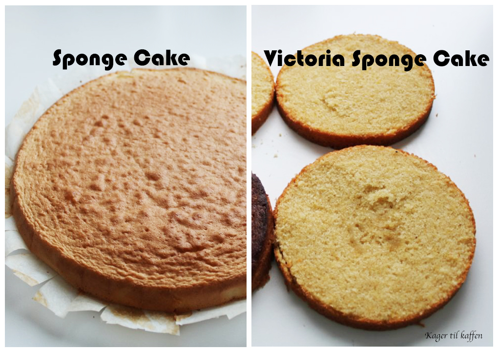 Spongecakes